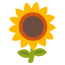 🌻