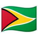 🇬🇾
