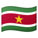 🇸🇷